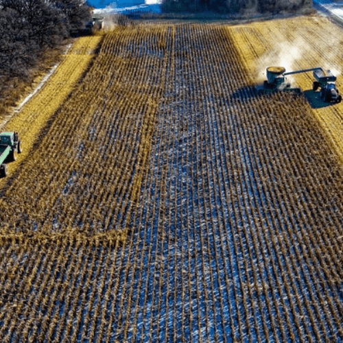 field