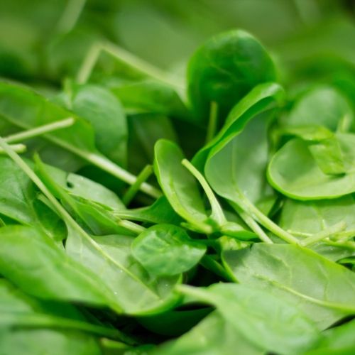 Spinach and diet questions